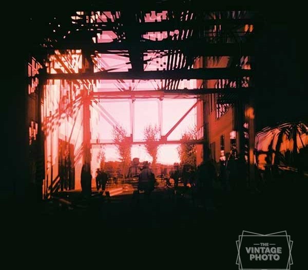 DDW_2014_jsvq8